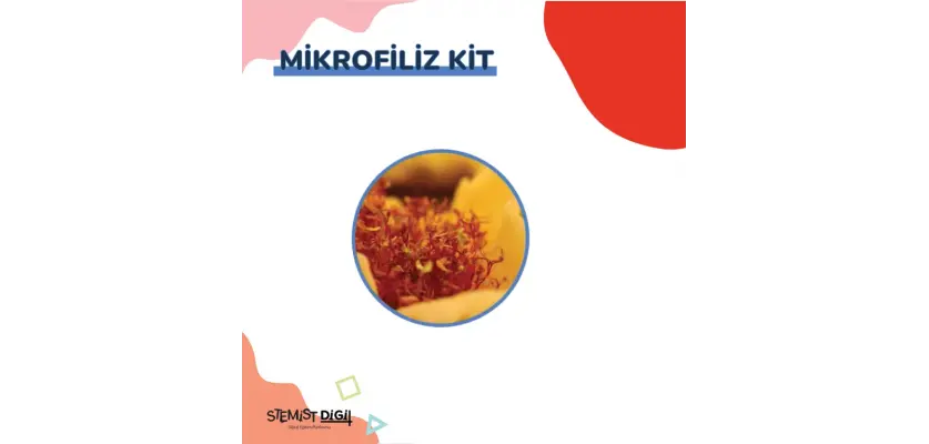 Mikrofiliz Kit